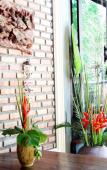 Туры в отель BB PoolVilla