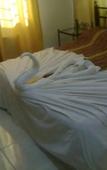 Туры в отель Shatha Petra Hotel