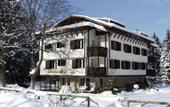 Туры в отель Victoria Borovets