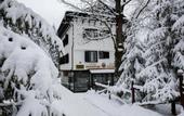 Туры в отель Victoria Borovets