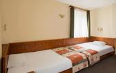 Туры в отель Victoria Borovets