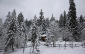 Туры в отель Victoria Borovets