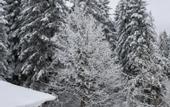 Туры в отель Victoria Borovets
