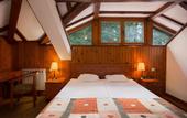 Туры в отель Victoria Borovets