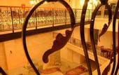 Туры в отель Safa Royal Museum Hotel
