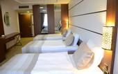 Туры в отель Safa Royal Museum Hotel