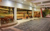 Туры в отель Kyriad Arra Hotel Cepu