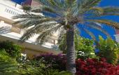 Туры в отель Granada Park Apartments (Granada park apartments hotel los cristianos, Granada park tenerife)