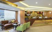 Туры в отель Zircon Hotel