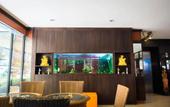 Туры в отель Patong Moon Inn Guesthouse
