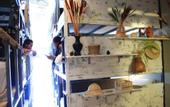 Туры в отель My Samui Hostel