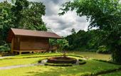 Туры в отель Kandy Cabana Eco Resort