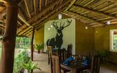 Туры в отель Kandy Cabana Eco Resort