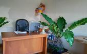 Туры в отель Beji Ayu Homestay