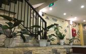 Туры в отель Sapa Hills Hotel