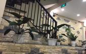 Туры в отель Sapa Hills Hotel