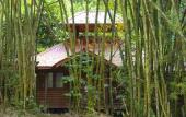 Туры в отель Platon Ecolodge