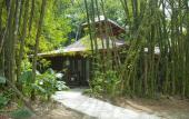 Туры в отель Platon Ecolodge