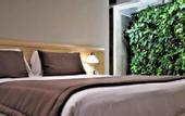 Туры в отель Hotel Paolo II