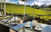 Туры в отель The Tea Garden
