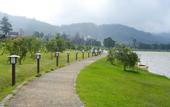 Туры в отель The Tea Garden