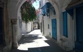 Туры в отель El Patio Courtyard House
