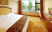 Туры в отель Chongqing Xianyi Holiday Hotel
