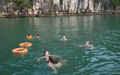 Туры в отель Rosa Cruise Halong