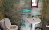 Туры в отель dolphin wadiya