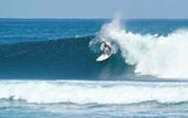 Туры в отель Inlight Lombok