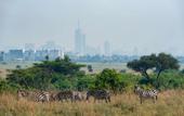 Туры в отель Park Inn by Radisson Nairobi Westlands