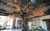 Туры в отель Country Garden Golden Beach Spring Hotel