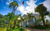 Туры в отель The White House Boutique Chiangrai