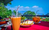 Туры в отель Dimuthu Homestay Ella