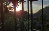 Туры в отель Dimuthu Homestay Ella