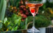 Туры в отель Royal Tulip Canaan Nairobi