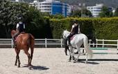 Туры в отель B.equine Range Hotel