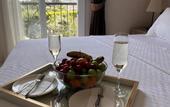 Туры в отель B.equine Range Hotel