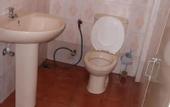 Туры в отель Mount Crest Cottage