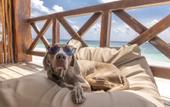 Туры в отель Hotelito Azul