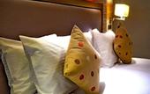 Туры в отель Magna Hotel and Suites