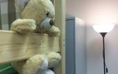Туры в отель Хостел Плюшевый Мишка