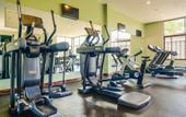 Туры в отель Tamarind Tree Hotel