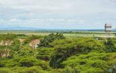 Туры в отель Tamarind Tree Hotel