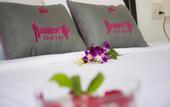 Туры в отель Flamingo Villa Hoi An