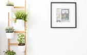 Туры в отель CHILL Apartments