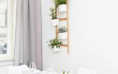 Туры в отель CHILL Apartments