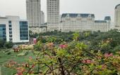 Туры в отель V-studio Hotel Apartment 3