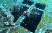 Туры в отель Bait al Aqaba Dive Center & Resort
