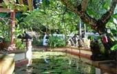 Туры в отель Grand Avenue Boutique Villas and Spa Villa